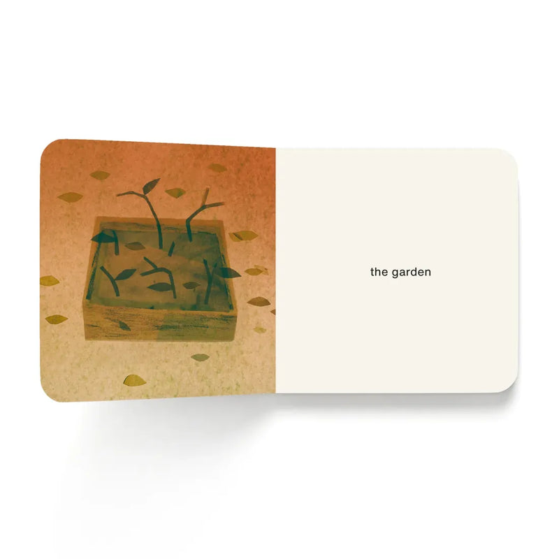 Now I See Fall CA - Board book