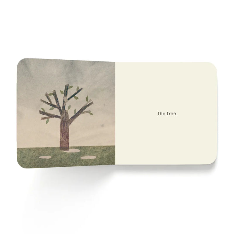 Now I See Spring CA - Board book