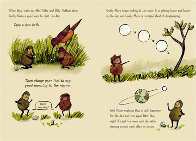The Newest Gnome CA - Hardback