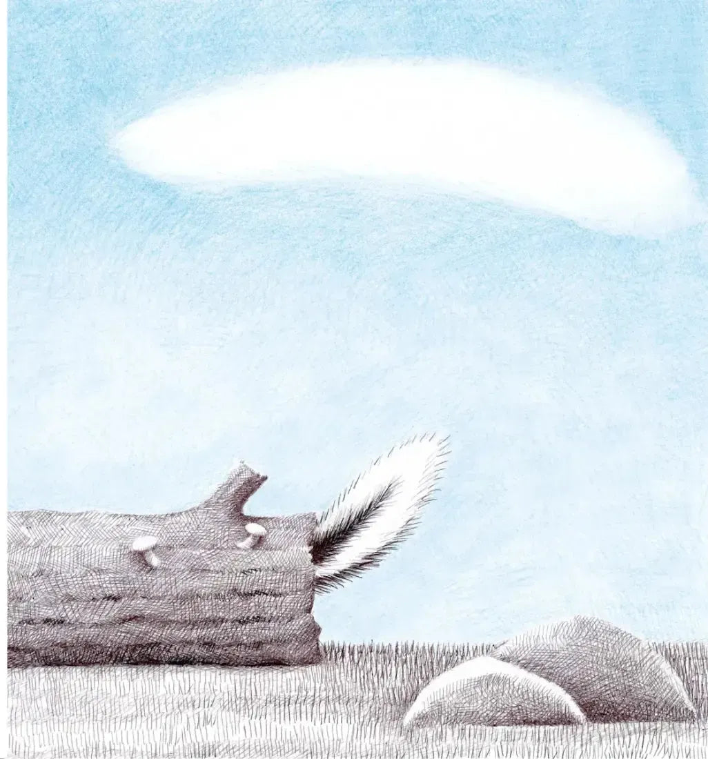 Where's Baby? (Oji-Cree edition) CA - Paperback / softback