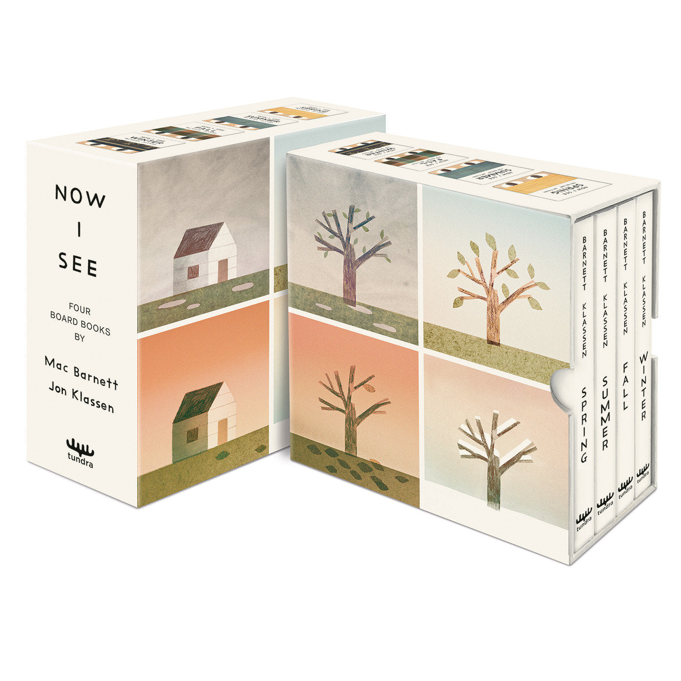 Now I See Board Book Box Set