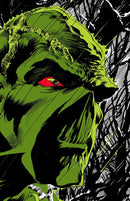 Absolute Swamp Thing by Len Wein and Bernie Wrightson-Graphic novel / Comic book / Manga: genres-買書書 BuyBookBook