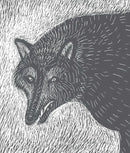 Girls US - Paperback / softback