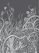 Girls US - Paperback / softback