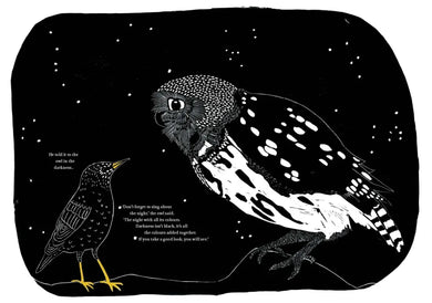 The Starling’s Song US - Hardback