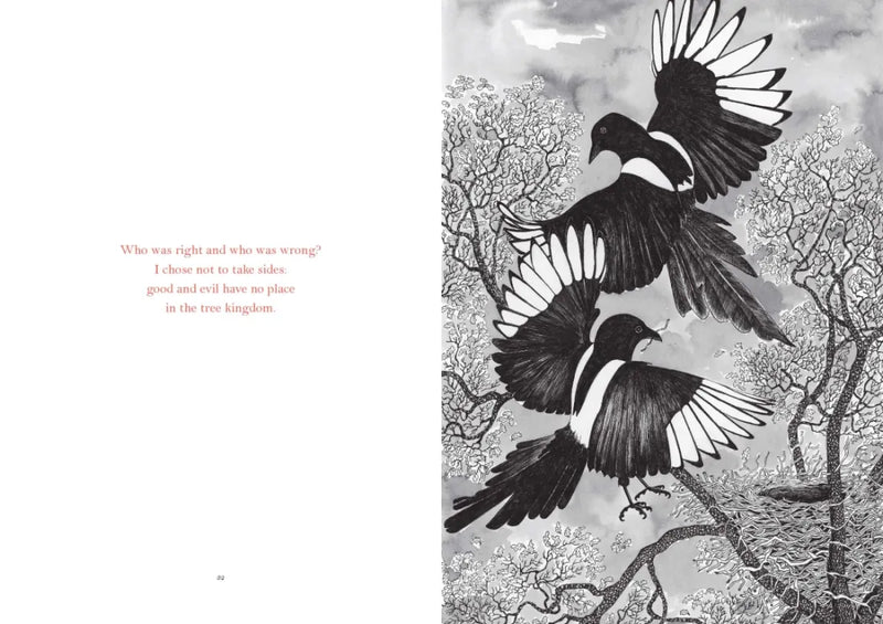 Within My Branches US - Hardback