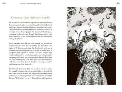 Amazing Octopus US - Hardback