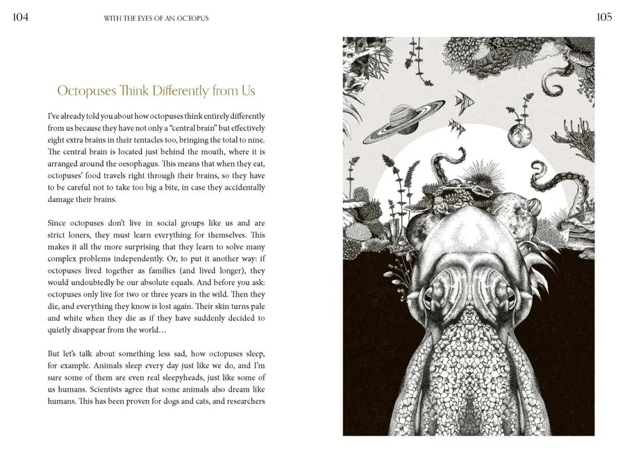 Amazing Octopus US - Hardback