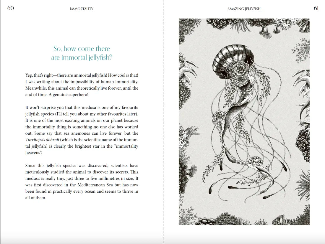 Amazing Jellyfish US - Hardback