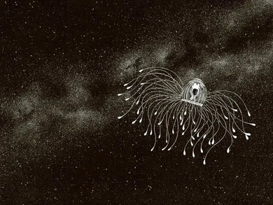Amazing Jellyfish US - Hardback