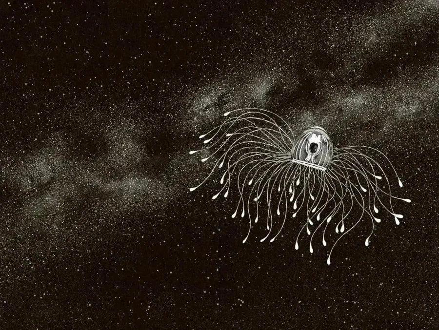 Amazing Jellyfish US - Hardback