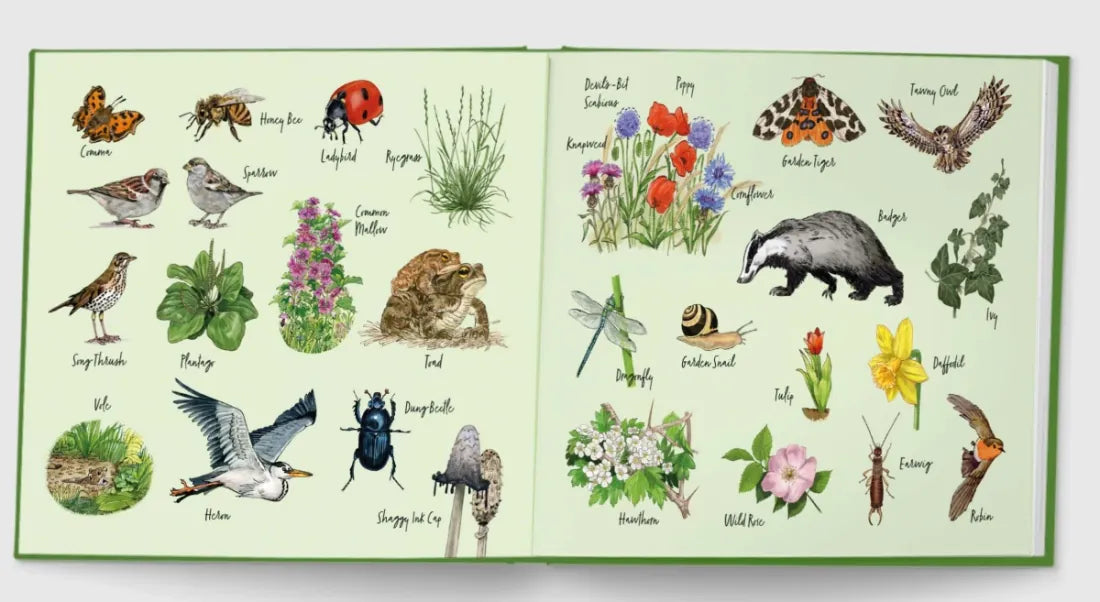 Our Wild Garden US - Hardback
