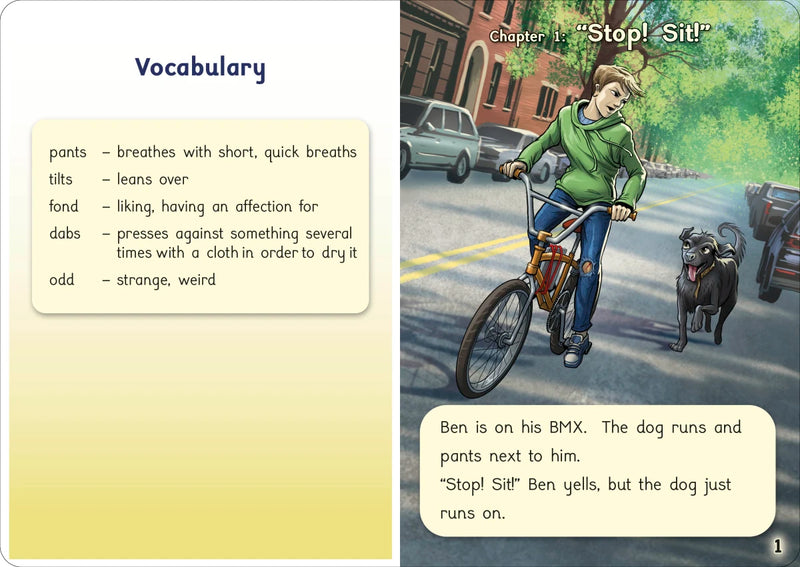 Phonic Books That Dog! US - Multiple-component retail product, boxed