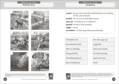 Phonic Books That Dog! Activities US - Paperback / softback