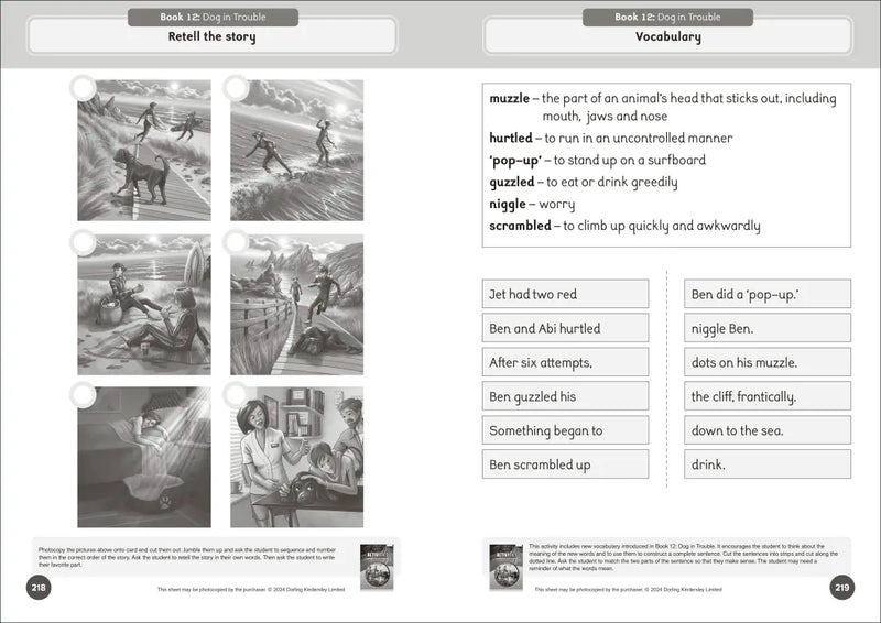 Phonic Books That Dog! Activities US - Paperback / softback