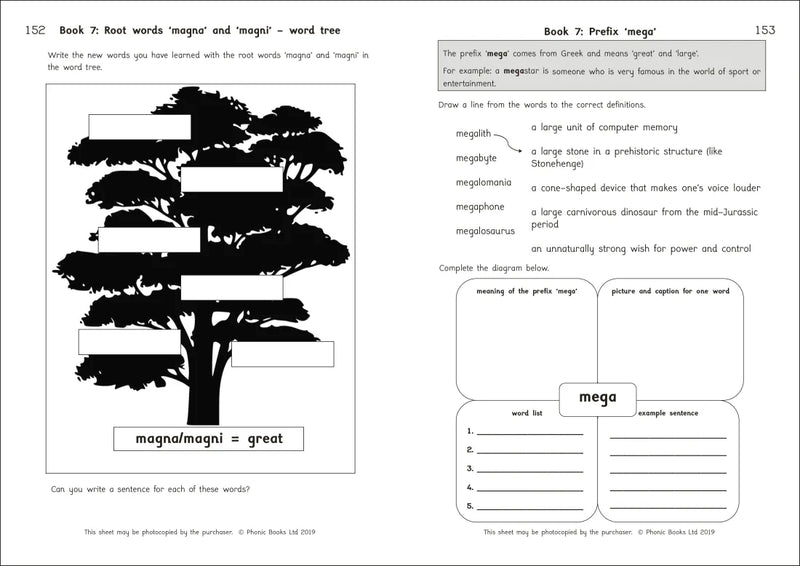 Phonic Books Amber Guardians Activities US - Paperback / softback