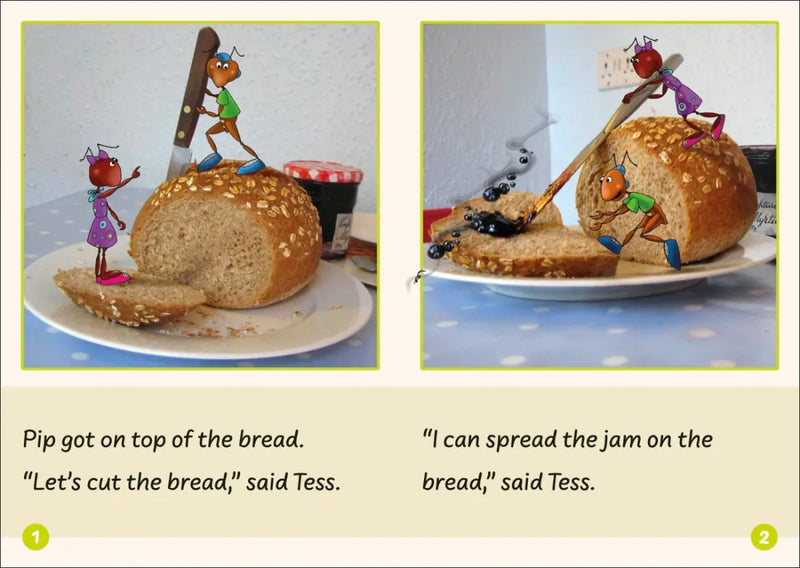 Phonic Books Dandelion Readers Vowel Spellings Level 1 The Mail US - Multiple-component retail product, boxed