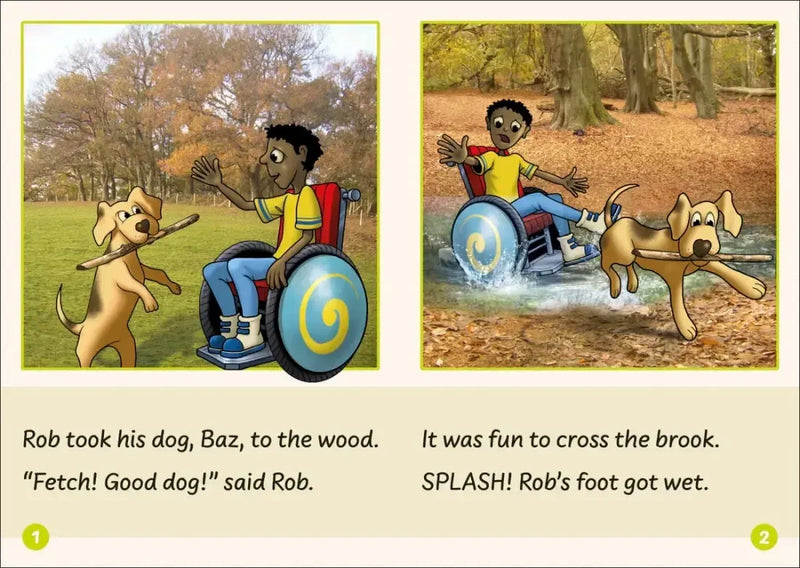 Phonic Books Dandelion Readers Vowel Spellings Level 1 The Mail US - Multiple-component retail product, boxed