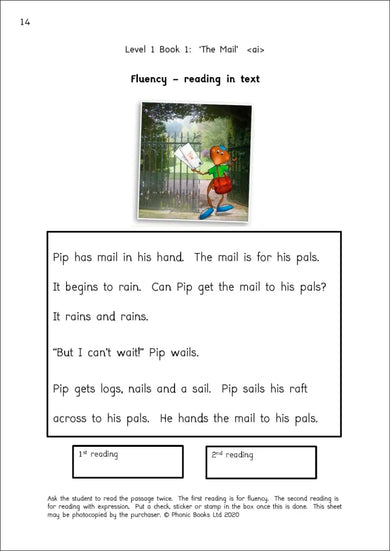 Phonic Books Dandelion Readers Vowel Spellings Level 1 The Mail Activities US - Paperback / softback
