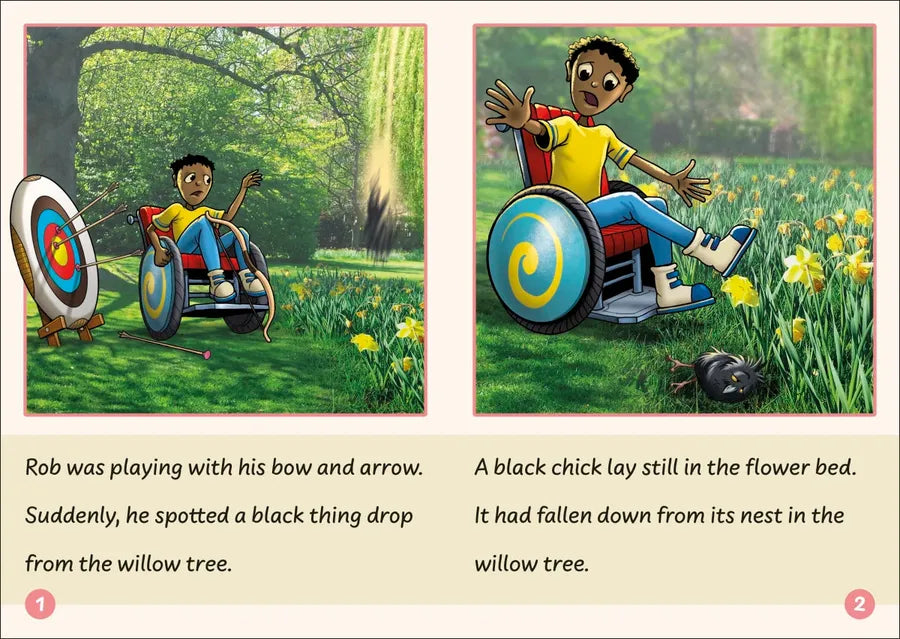 Phonic Books Dandelion Readers Vowel Spellings Level 3 Jake, the Snake US - Multiple-component retail product, boxed