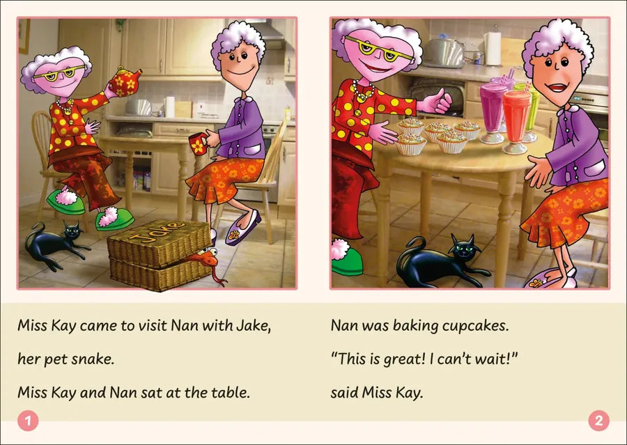 Phonic Books Dandelion Readers Vowel Spellings Level 3 Jake, the Snake US - Multiple-component retail product, boxed