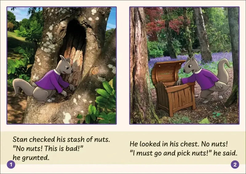 Phonic Books Dandelion Launchers Stages 16-20 US - Multiple-component retail product, boxed