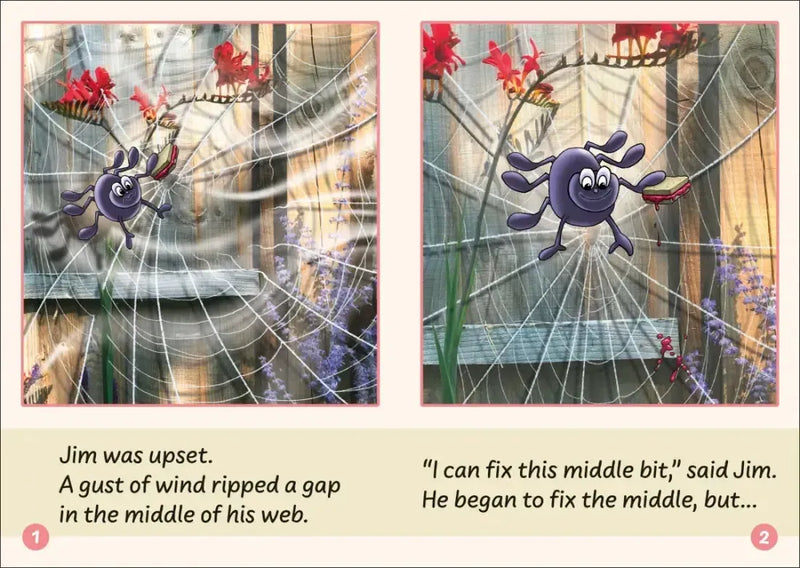 Phonic Books Dandelion Launchers Stages 16-20 US - Multiple-component retail product, boxed