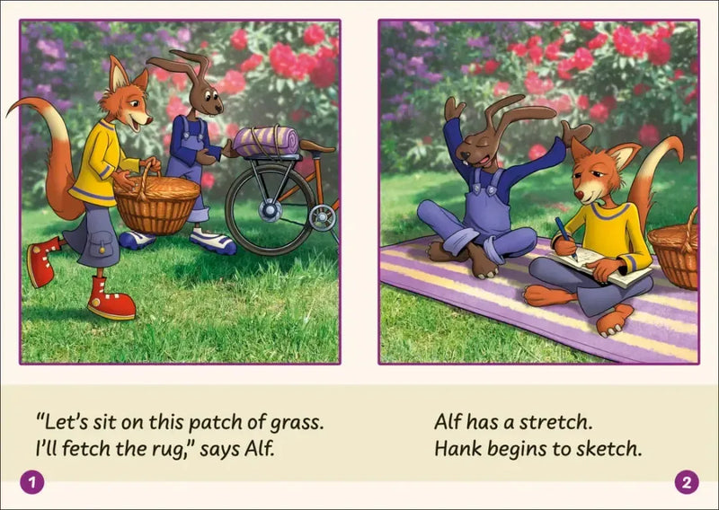 Phonic Books Dandelion Launchers Stages 16-20 US - Multiple-component retail product, boxed