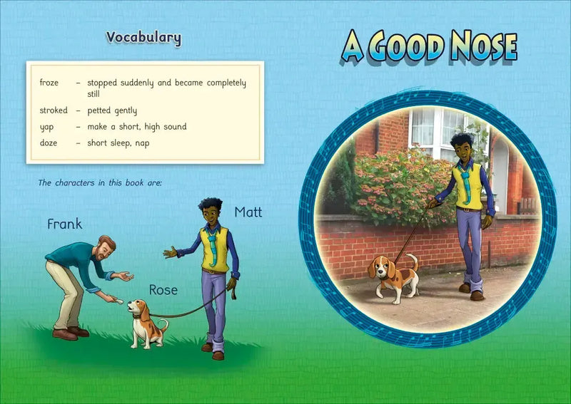 Phonic Books Moon Dogs VCe Spellings US - Multiple-component retail product, boxed