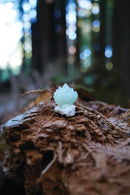 Sensory Crystal Healing US - Paperback / softback