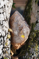 Sensory Crystal Healing US - Paperback / softback