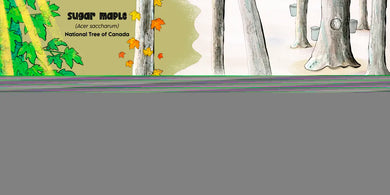 Rooted in Wonder US - Hardback