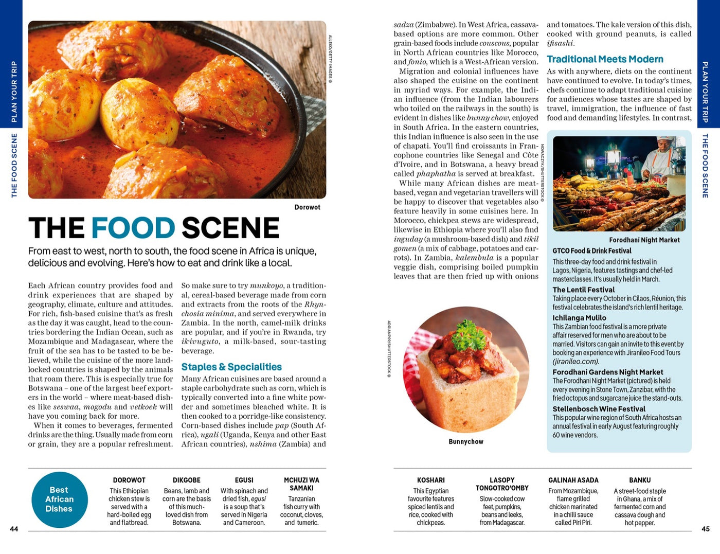 Lonely Planet Africa inside page 9