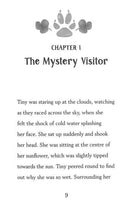 Tiny the Secret Adventurer: The Mystery Visitor