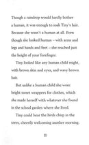 Tiny the Secret Adventurer: The Mystery Visitor