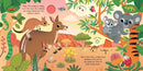 Baby Animal Sounds GB - Board book