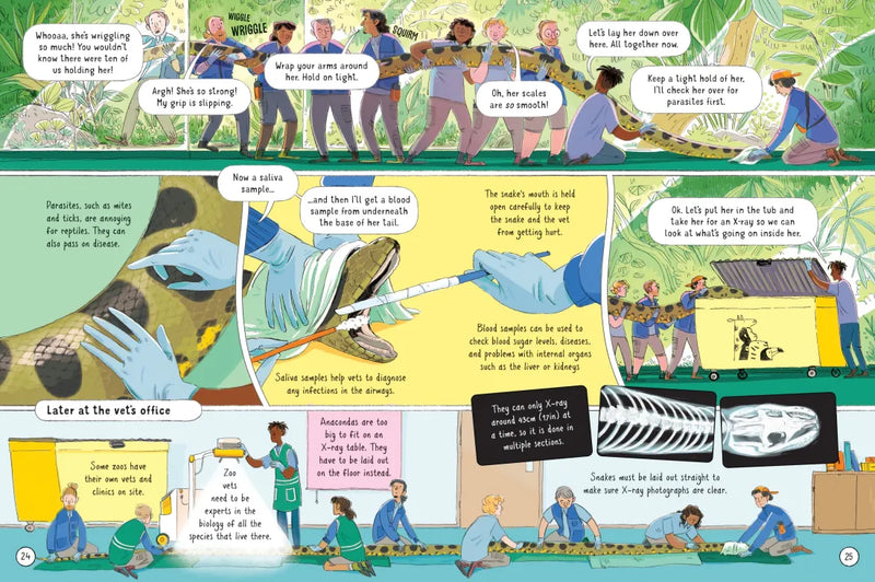 24 Hours in a Zoo GB - Hardback