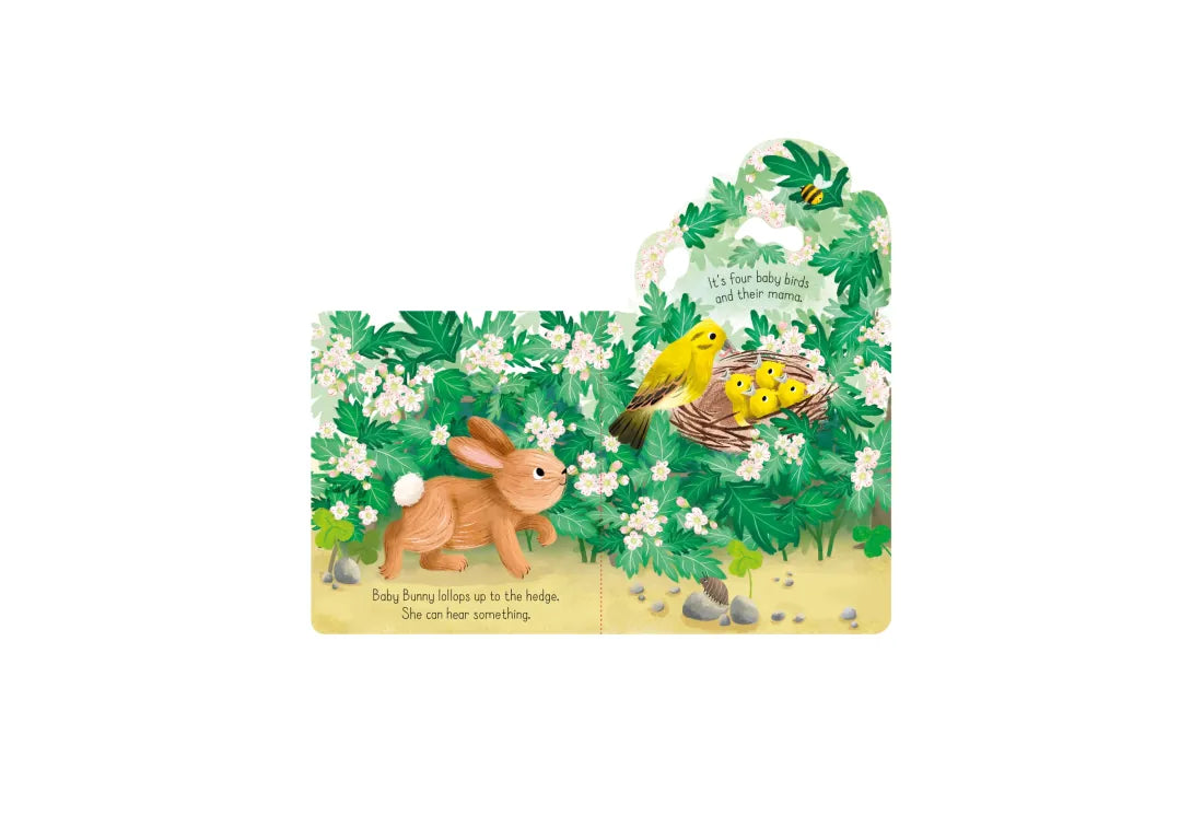 Little Lift and Look Baby Bunny GB - Board book