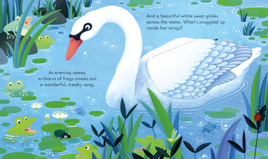 Peep Inside the Pond GB - Board book