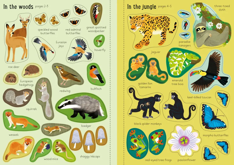 Little First Stickers Nature GB - Paperback / softback
