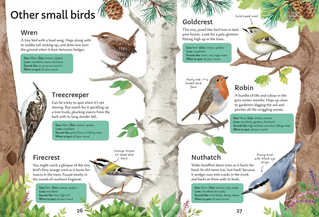 Spotter's Guides: Birds GB - Paperback / softback