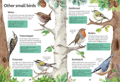 Spotter's Guides: Birds GB - Paperback / softback