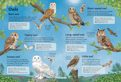 Spotter's Guides: Birds GB - Paperback / softback