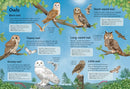 Spotter's Guides: Birds GB - Paperback / softback