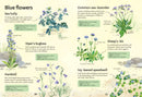 Spotter's Guides: Wild Flowers GB - Paperback / softback