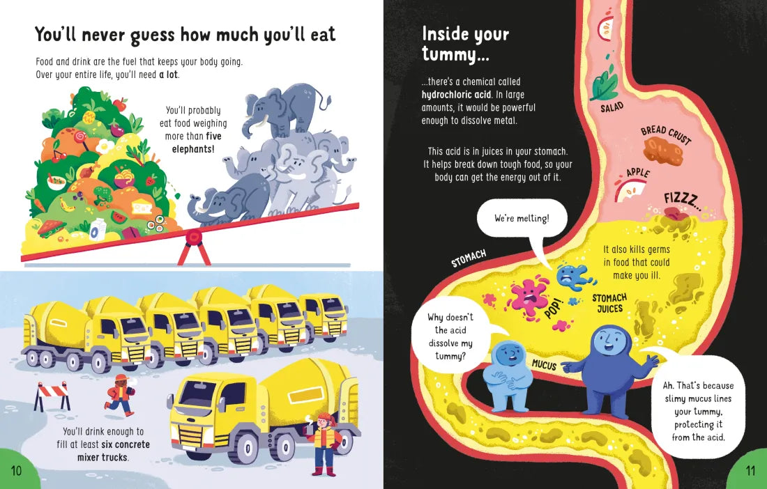 Big Book of Things to Know GB - Hardback