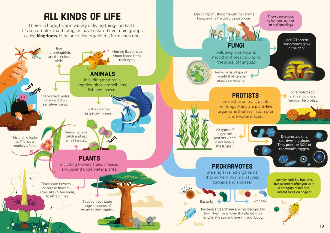 Biology for Beginners GB - Hardback