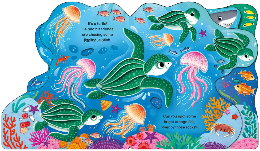 Who's in the Ocean Today? GB - Board book