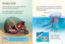 Beginners Octopuses GB - Hardback