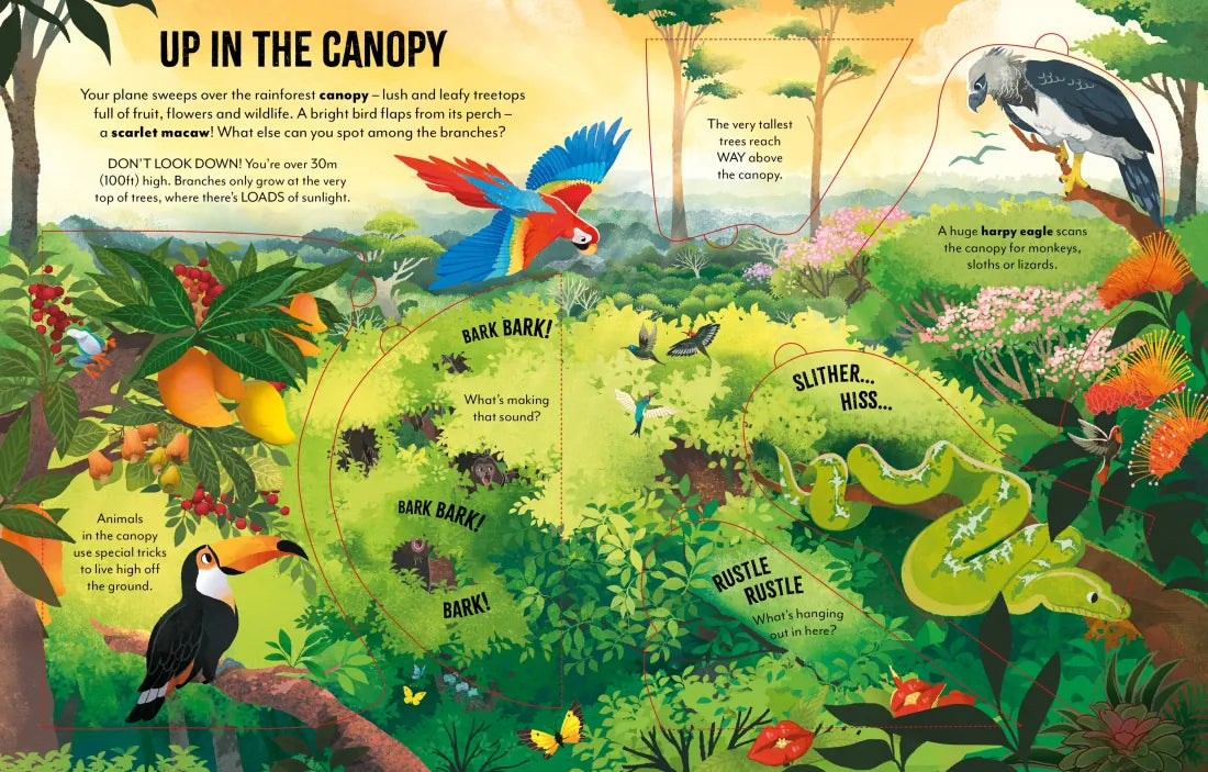 Extreme Planet: Journey through the Amazon GB - Board book